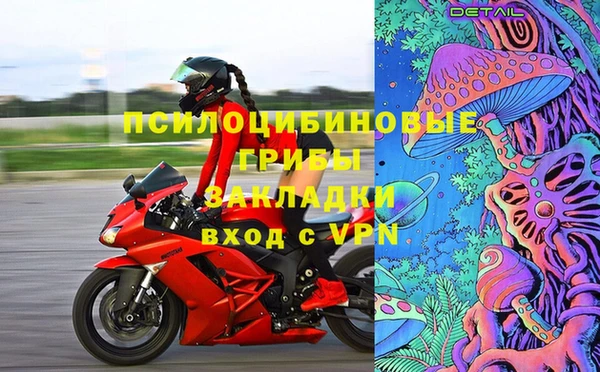 ПСИЛОЦИБИНОВЫЕ ГРИБЫ Ростов