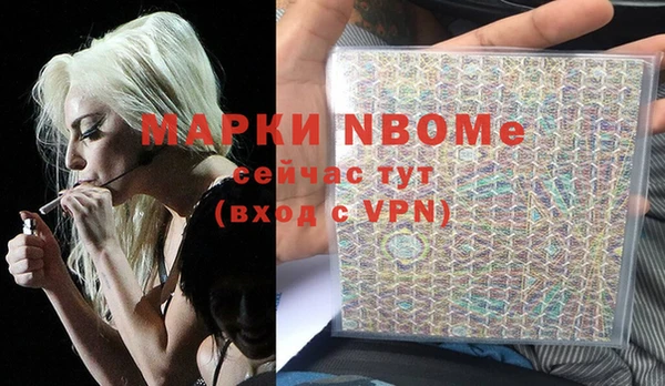 стафф Вязьма