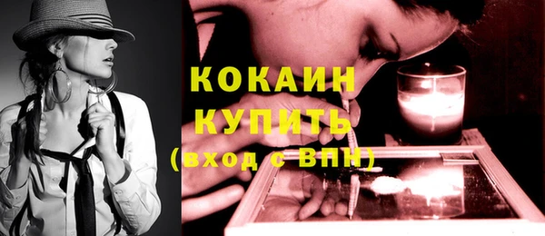 стафф Вязьма