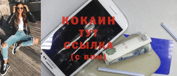 стафф Вязьма