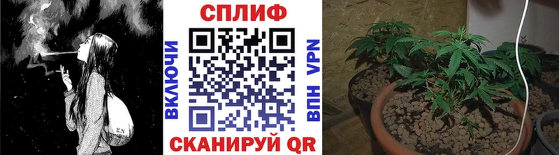 Бошки Шишки семена  Остров 